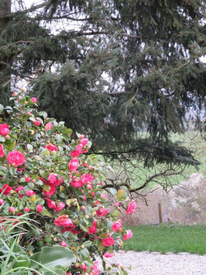 Sainte-Suzanne  Ecrin De Verdure מראה חיצוני תמונה